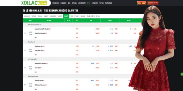 Technical Superiority and User Accessibility